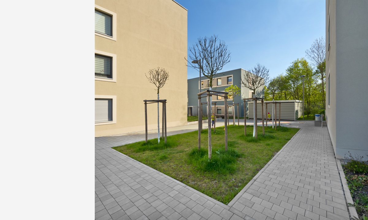 Copyright Michael Miltzow 2018 APR7722 opt.jpg